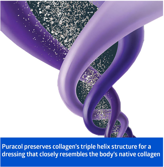 Puracol Plus AG+ Collagen Wound Dressings with Silver